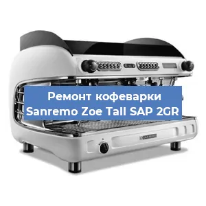 Чистка кофемашины Sanremo Zoe Tall SAP 2GR от кофейных масел в Екатеринбурге